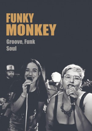 Funky Monkey – Groove & Soul